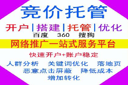 案例分析：SEM推广助力行业竞争突围
